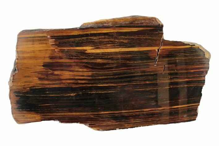 Polished Desert Sunset Banded Iron Section - Western Australia #240066